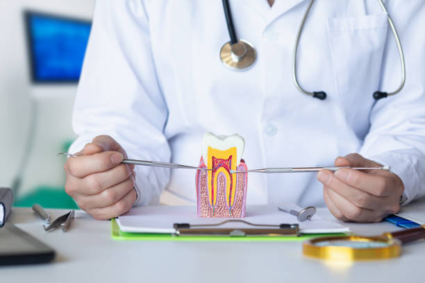 Best Broken or Cracked Tooth Emergency Dentist in Buffalo Center, IA